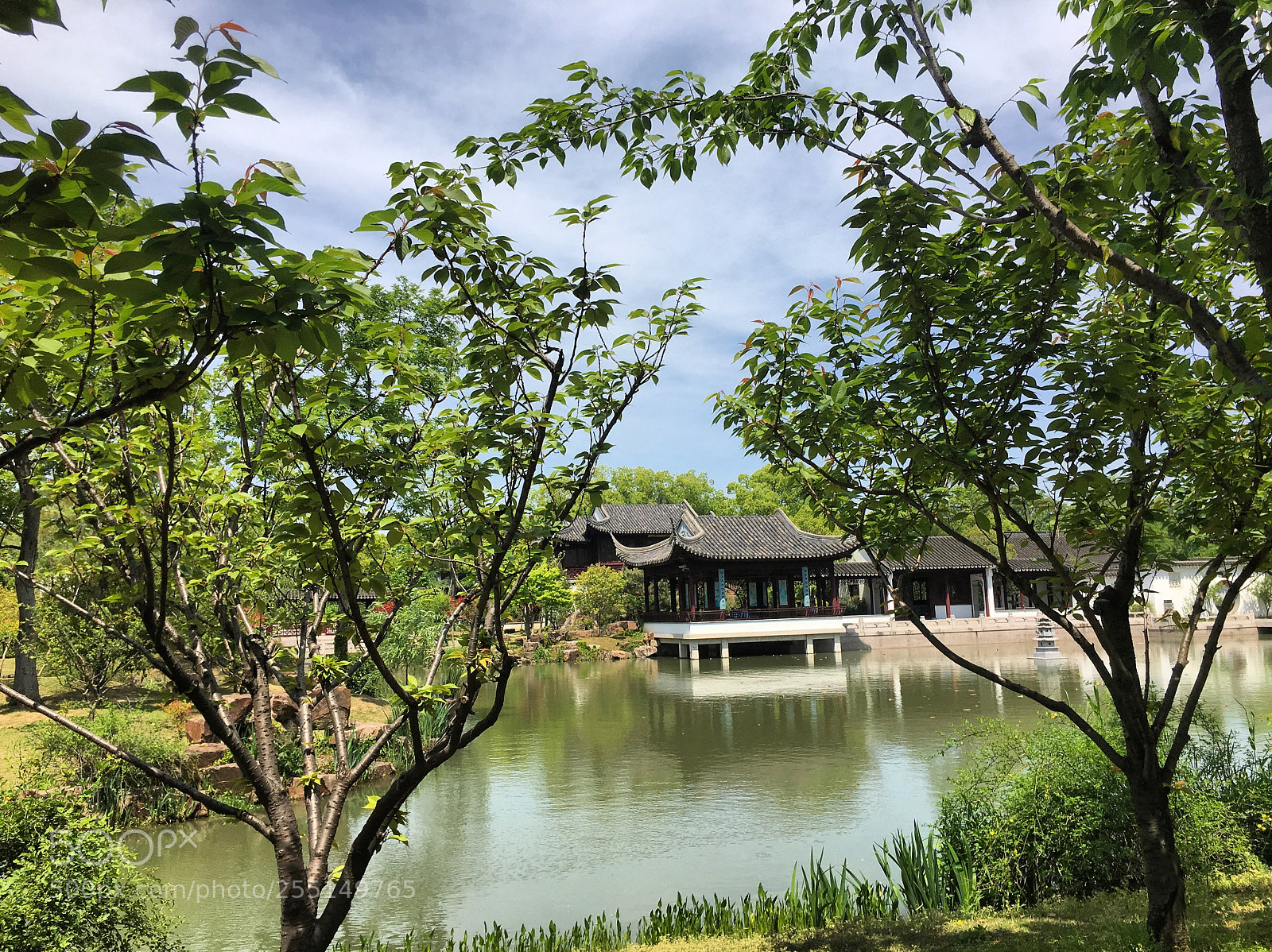 Apple iPhone 6s sample photo. Suzhou, china tiger hill photography