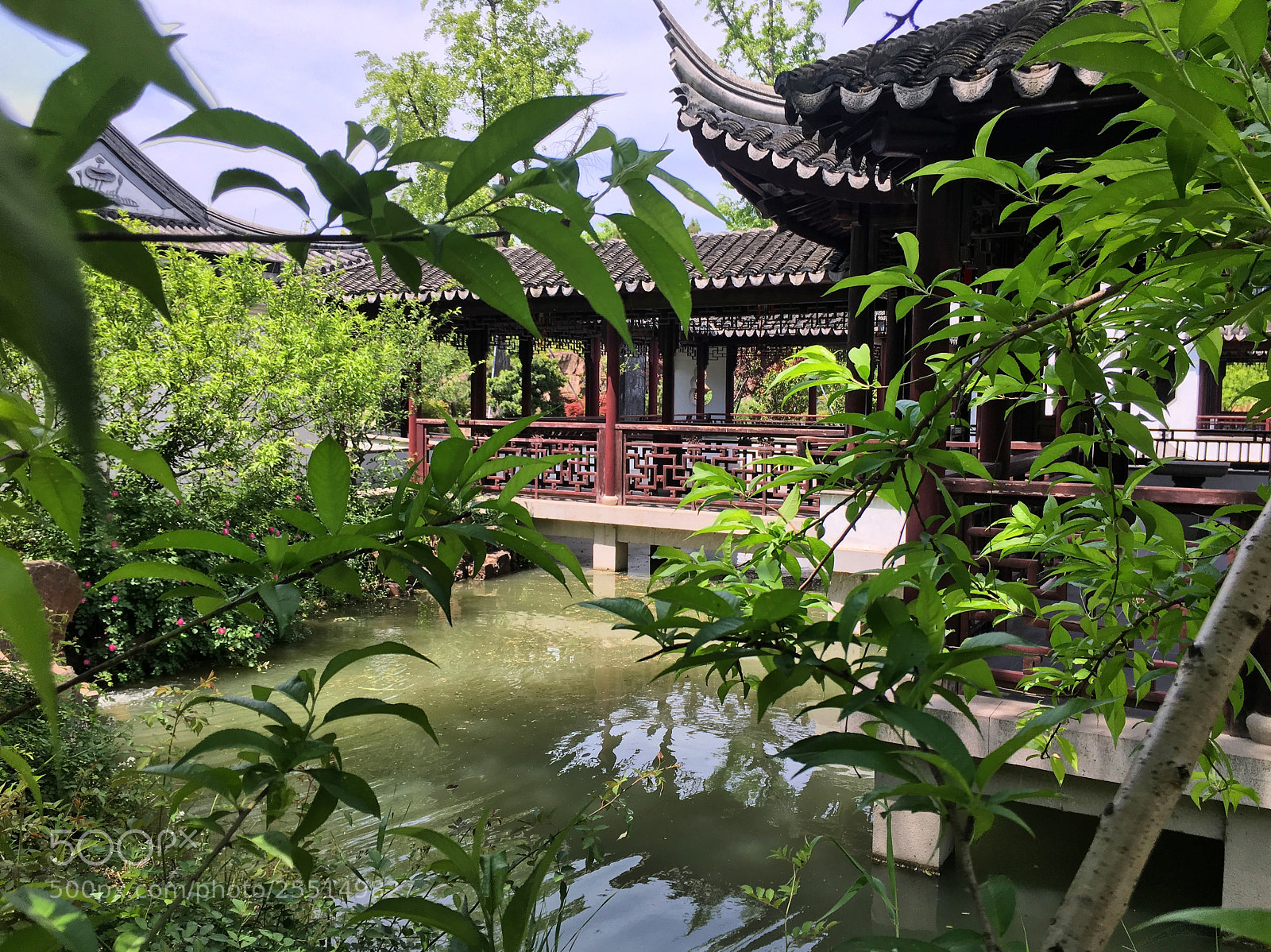 Apple iPhone 6s sample photo. Suzhou, china tiger hill photography
