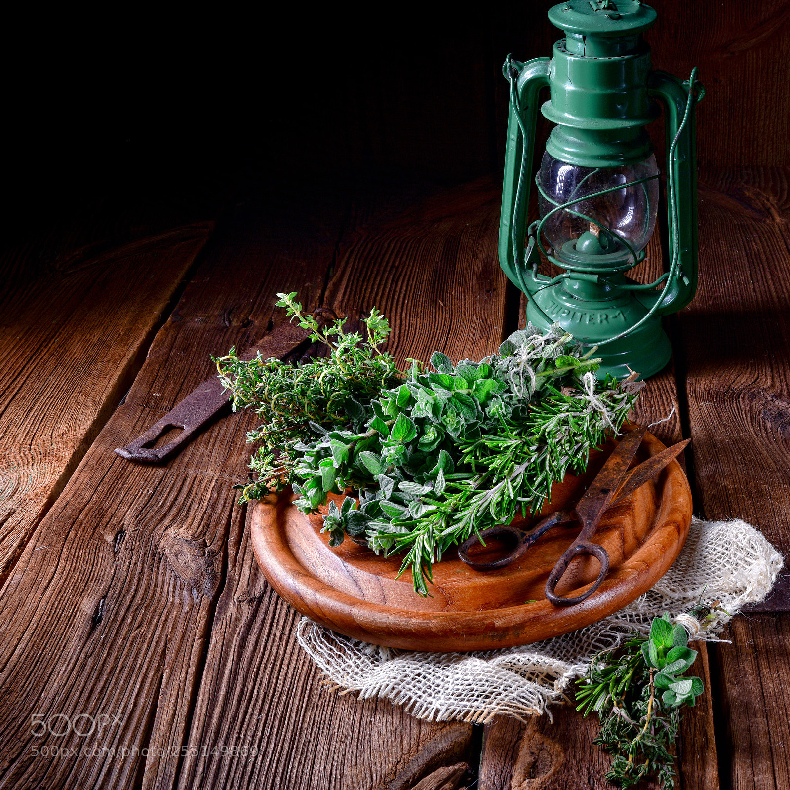 Nikon D810 sample photo. Herbal collection of thyme,oregano photography