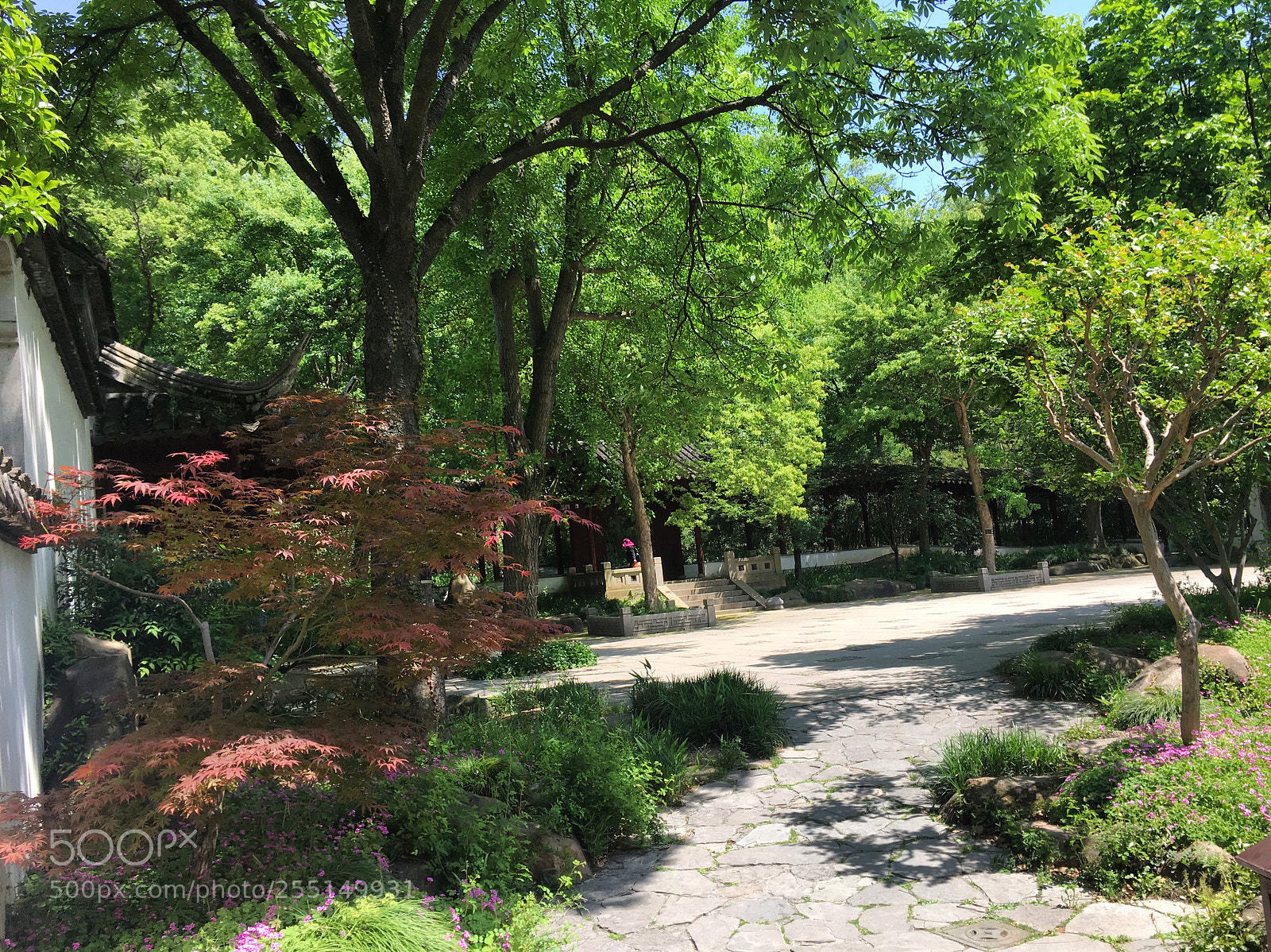 Apple iPhone 6s sample photo. Suzhou, china tiger hill photography