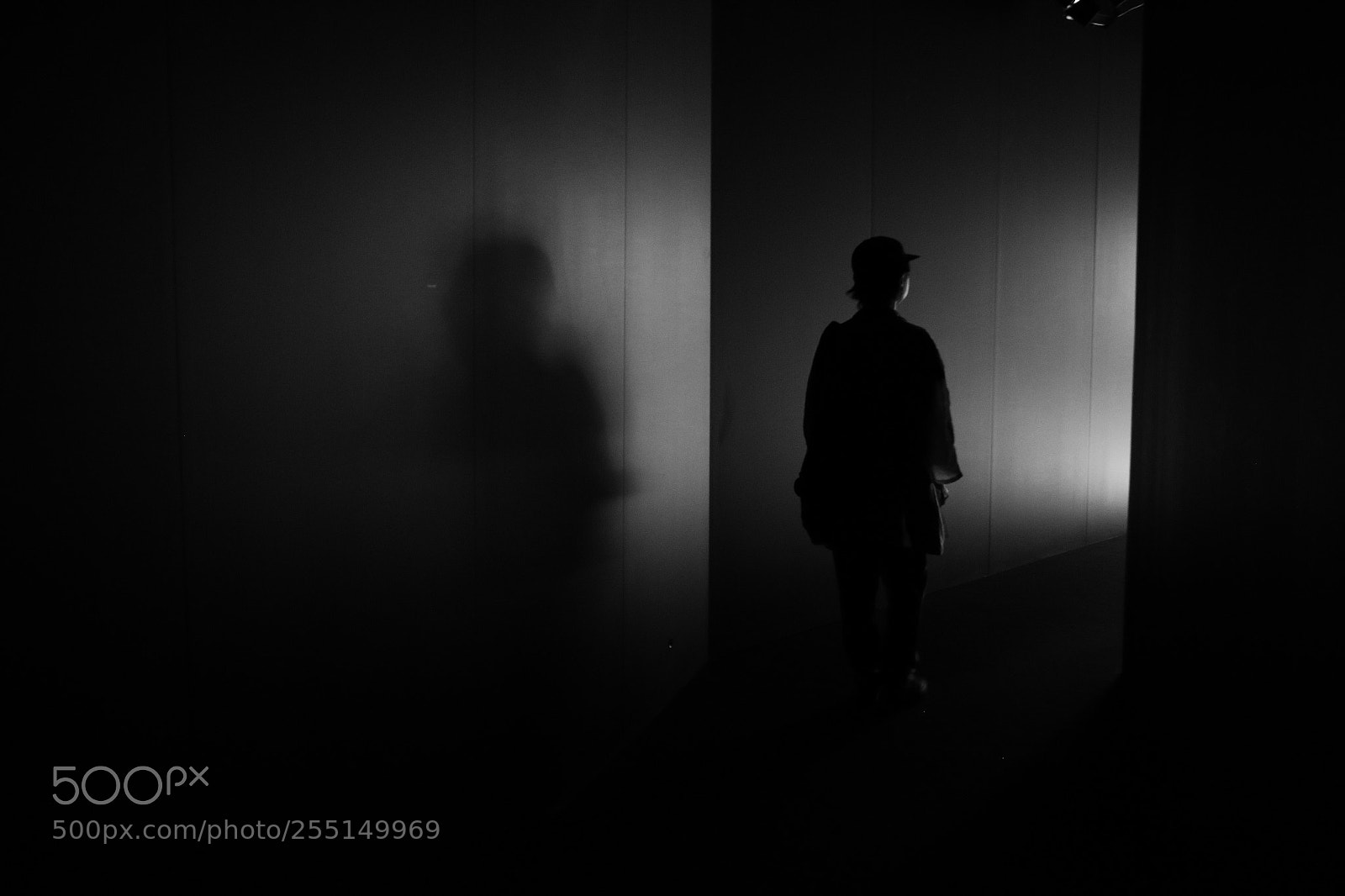 Canon EOS 7D Mark II sample photo. Shadow on the way  photography