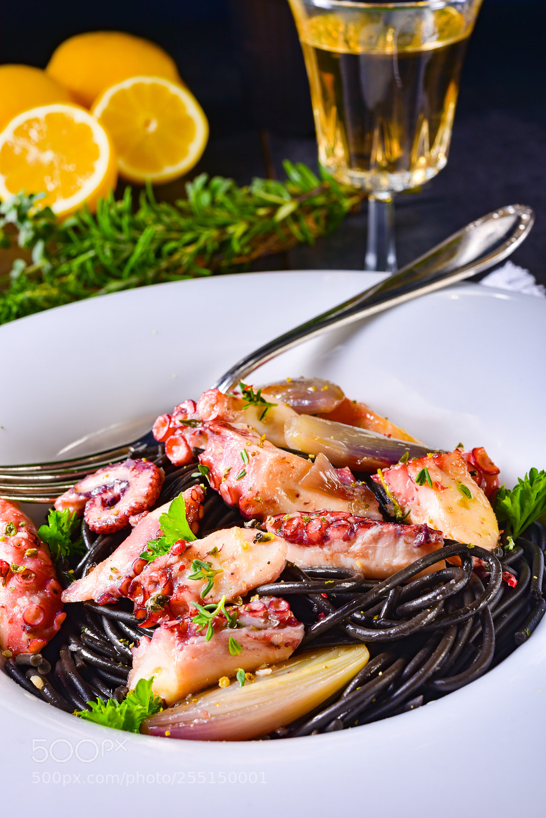 Nikon D810 sample photo. Octopus with black spaghetti photography