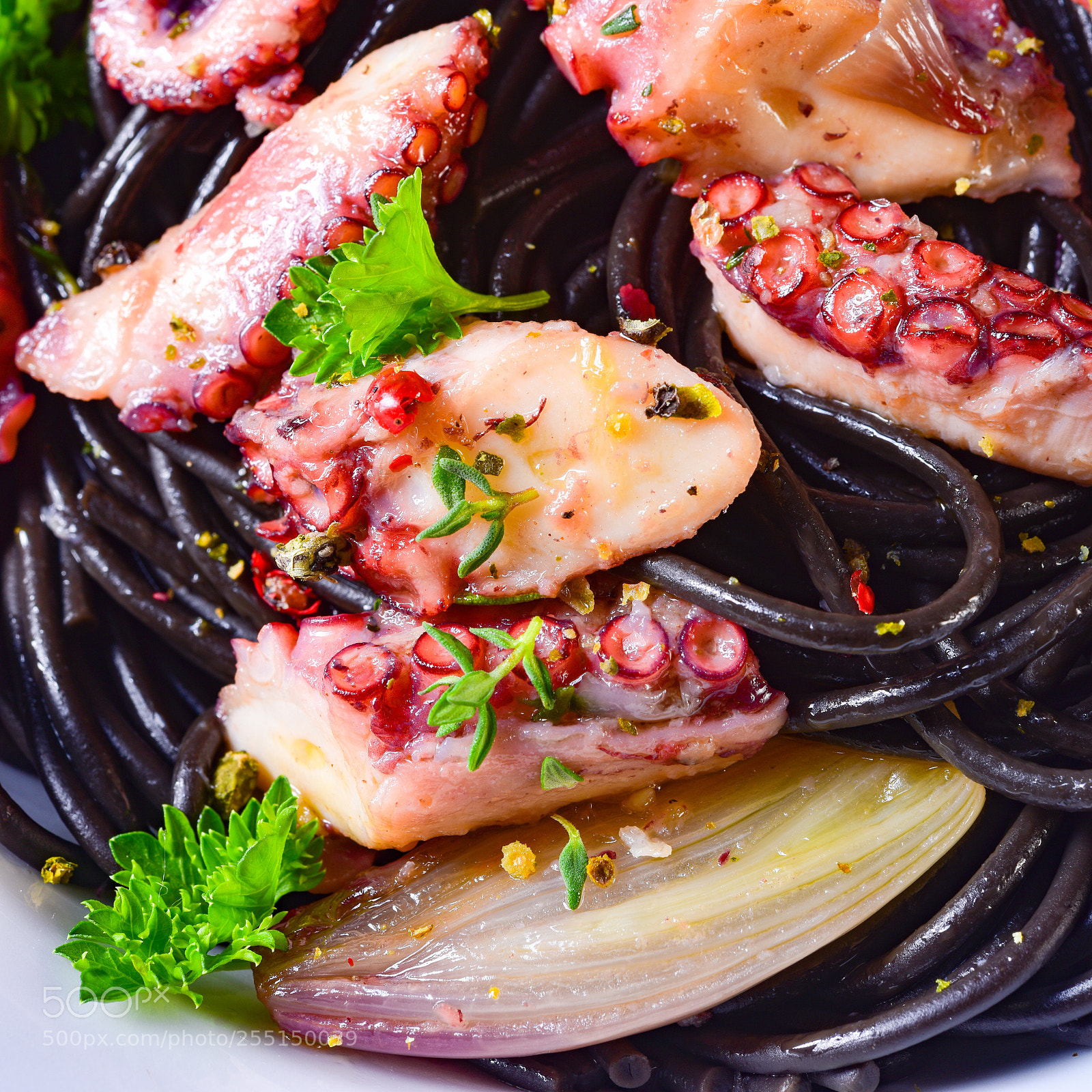 Nikon D810 sample photo. Octopus with black spaghetti photography