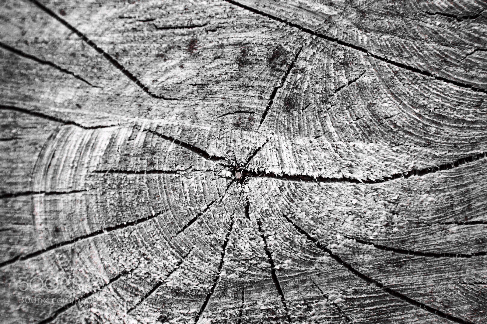 Nikon D5300 sample photo. Wood and stuff photography