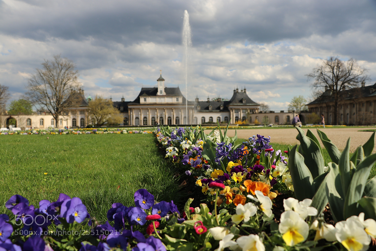 Canon EOS 80D sample photo. Frühling in pillnitz photography