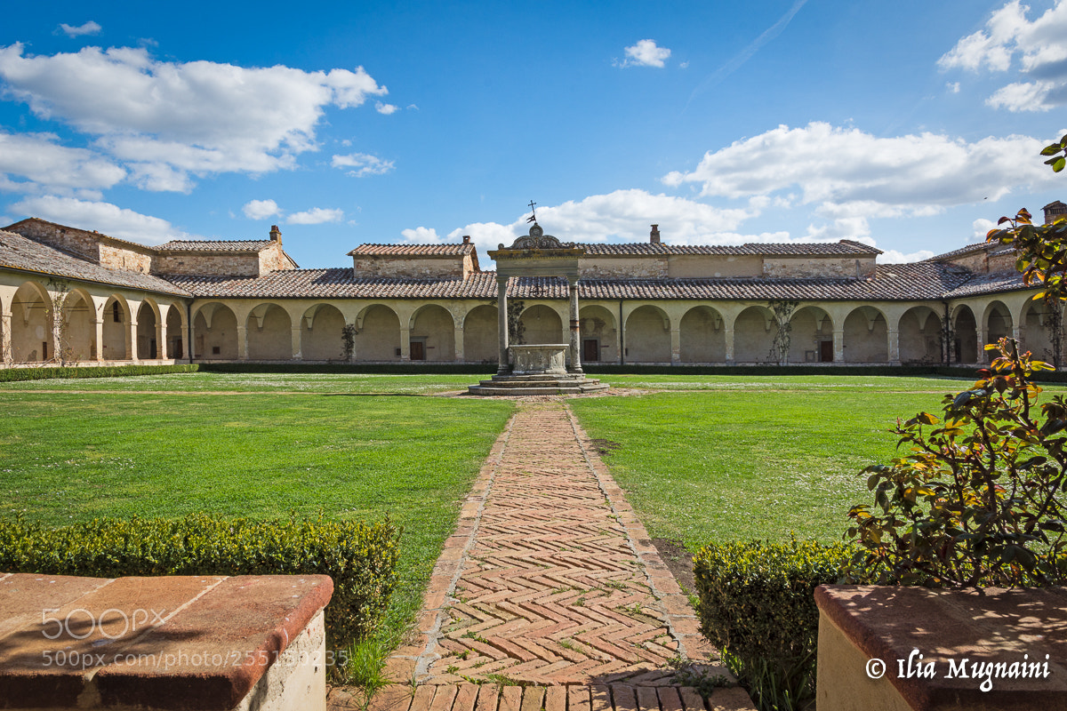 Nikon D7200 sample photo. Certosa di pontignano 3 photography