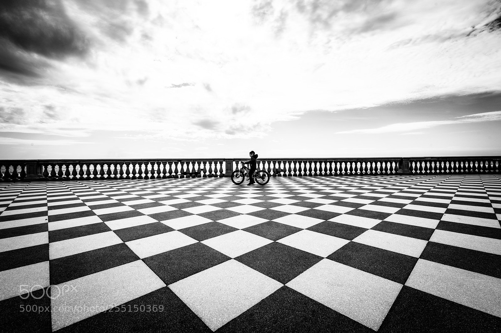 Nikon D810 sample photo. "cogliere l'attimo" photography