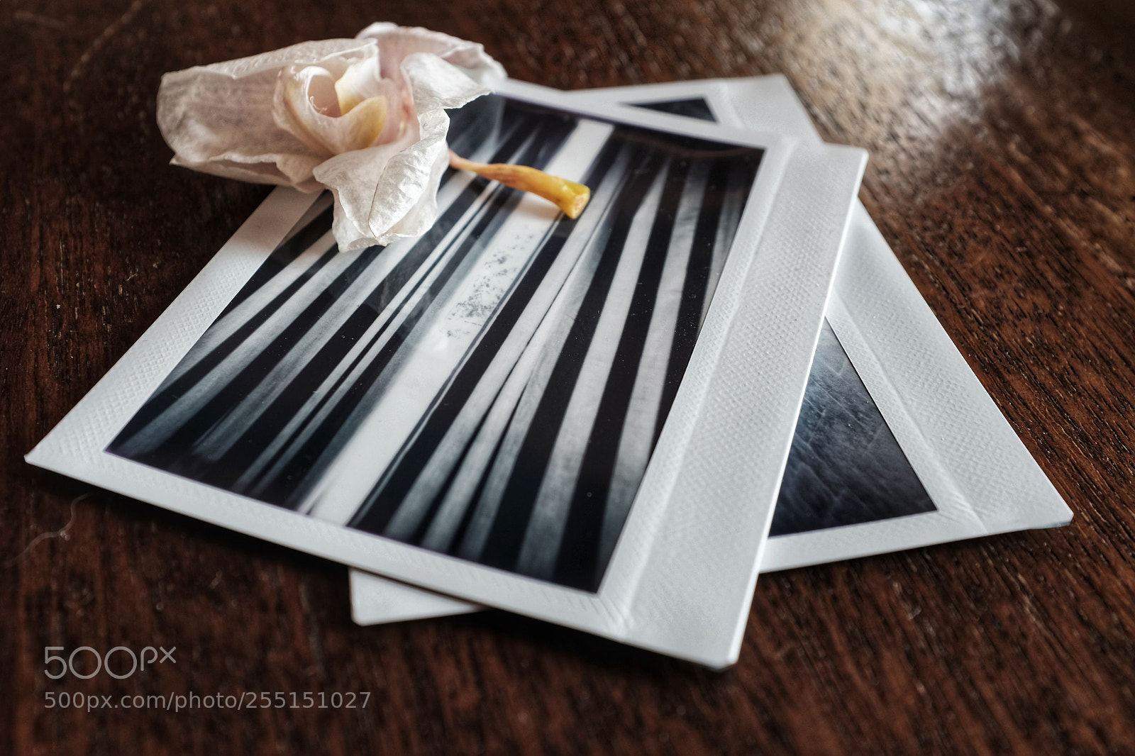 Fujifilm X100T sample photo. Wilted memories photography
