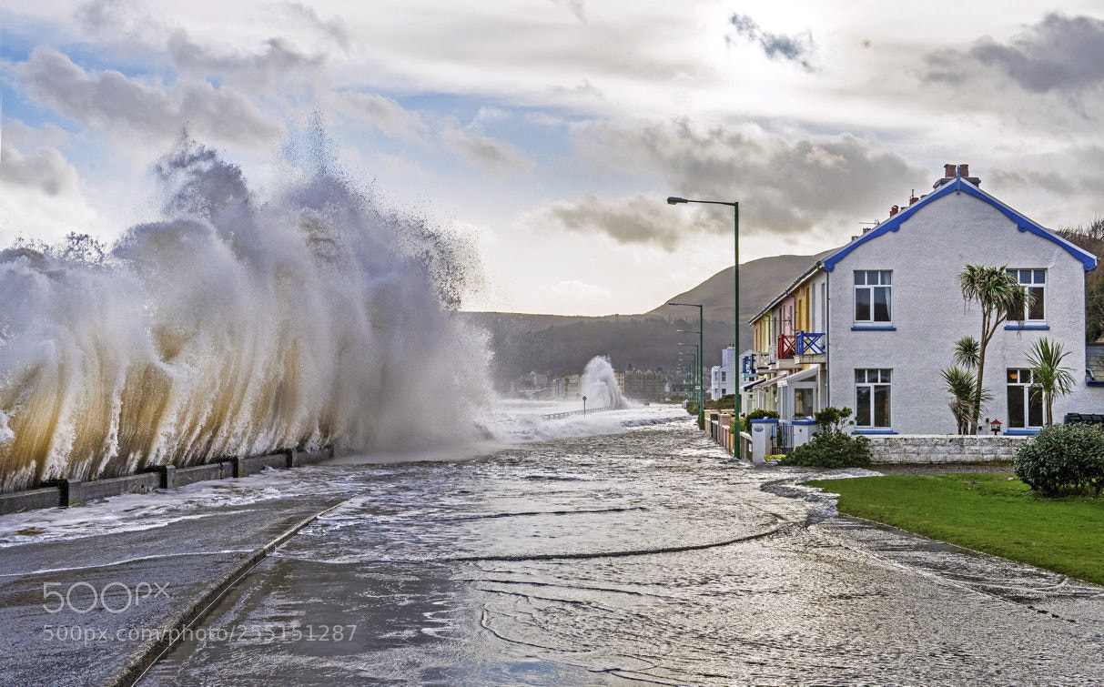 Nikon D600 sample photo. Surf is up ! photography
