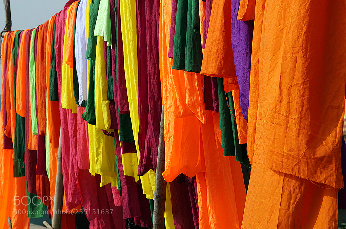 Sony a6000 sample photo. Flags in bangladesh by photography