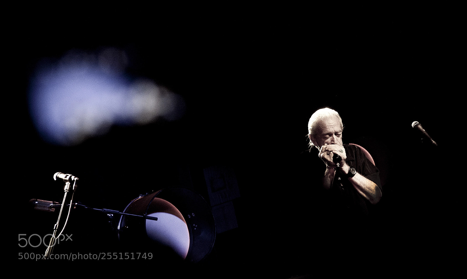 Canon EOS 5D Mark II sample photo. Do it again, charlie photography