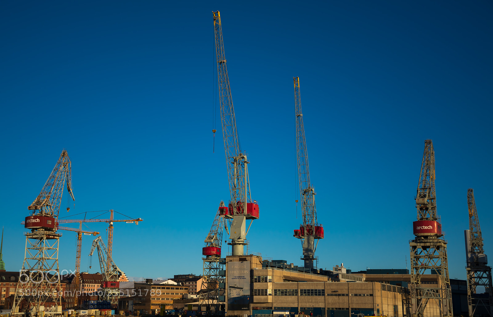 Nikon D7100 sample photo. Cranes.. photography