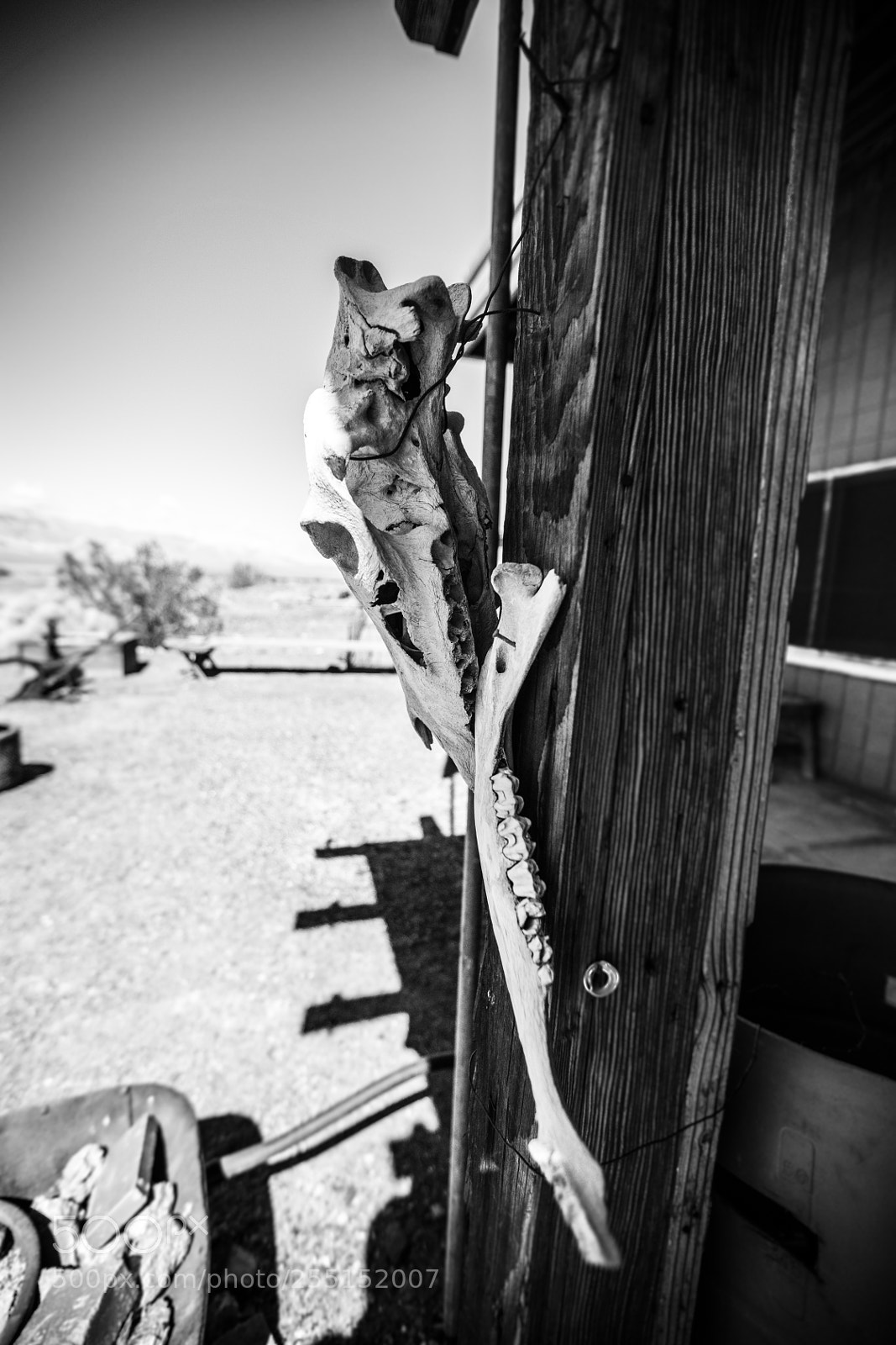 Canon EOS 5D Mark IV sample photo. Deathvalley d photography