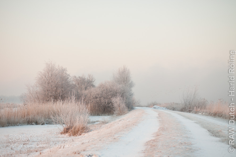Canon EOS 50D sample photo. Cold photography