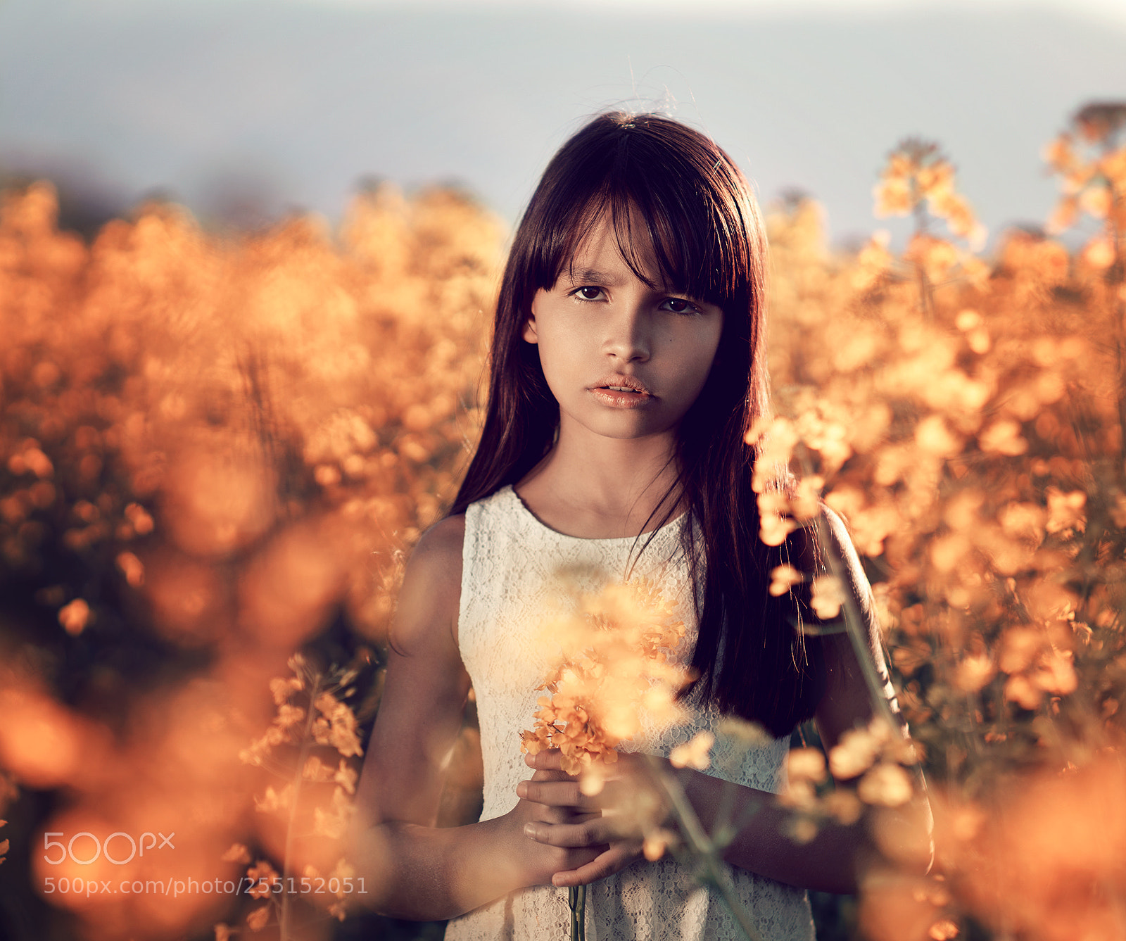 Sony a7R III sample photo. Golden hour photography