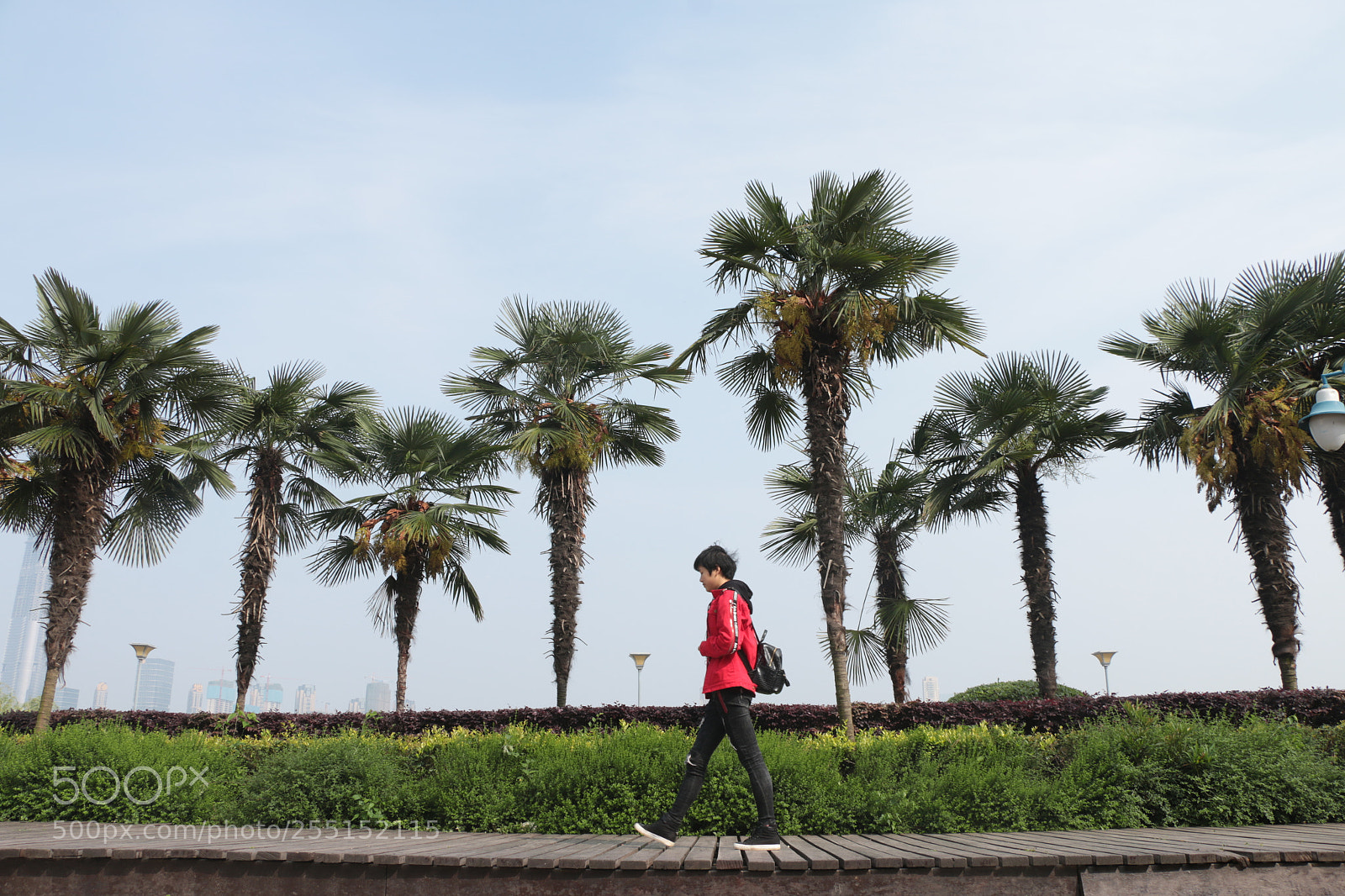 Canon EOS 70D sample photo. Untitled photography