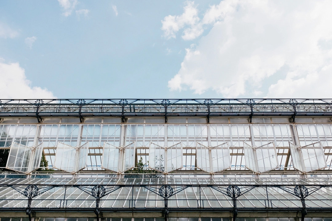 Fujifilm X100T sample photo. Botanischer garten #ii photography