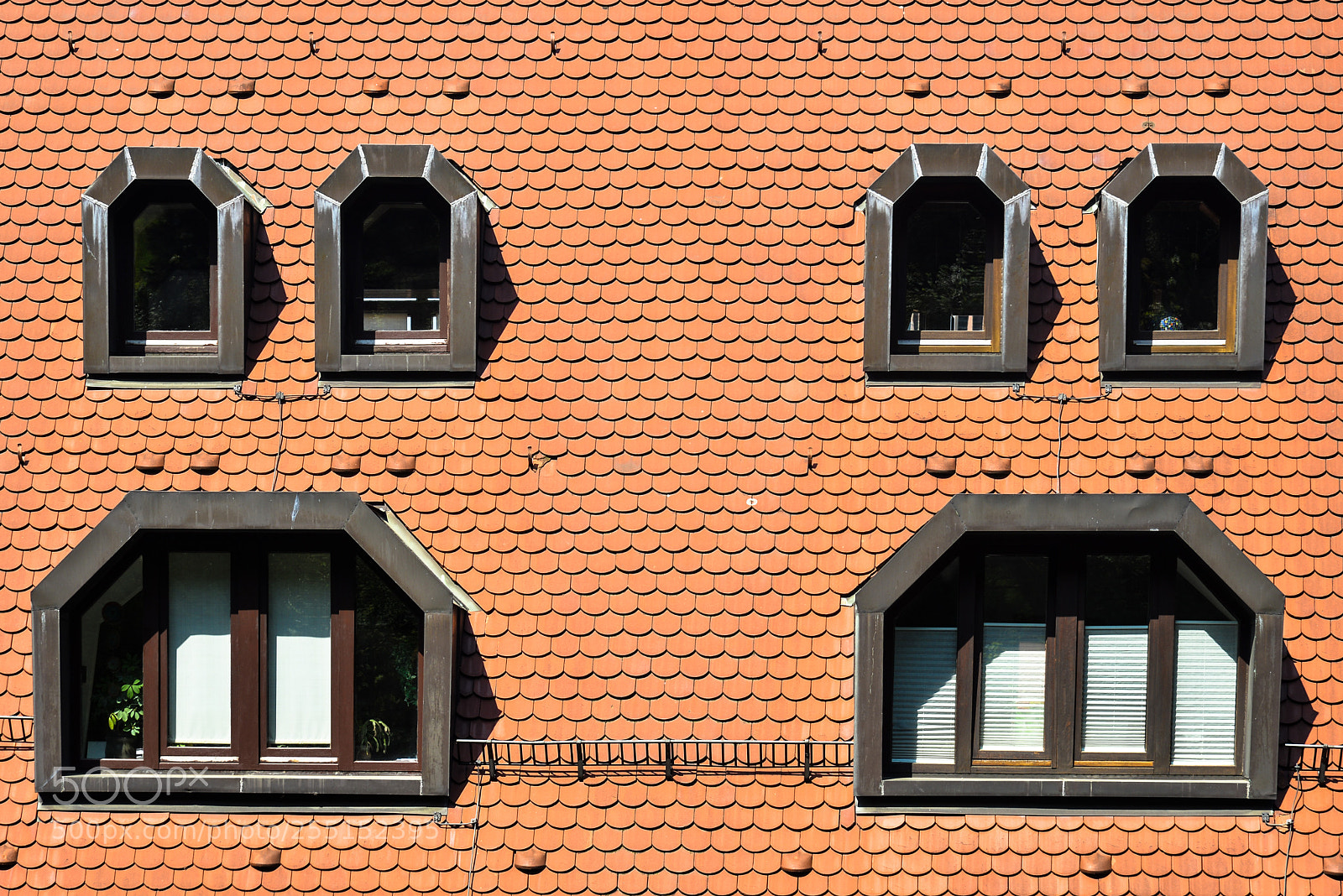Nikon D610 sample photo. Windows photography