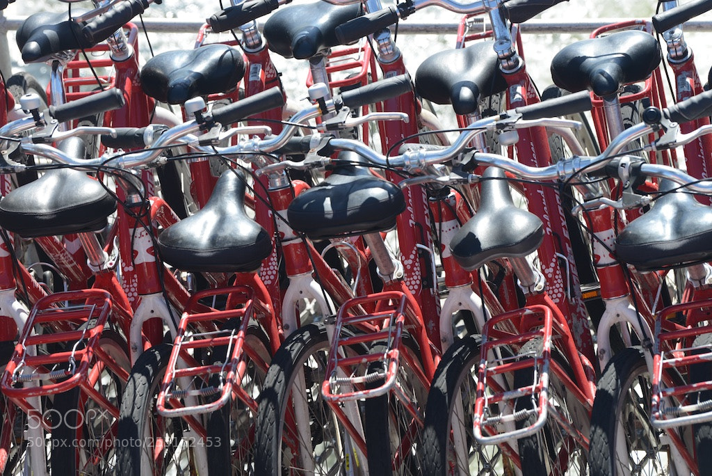 Nikon D600 sample photo. Bicycles photography
