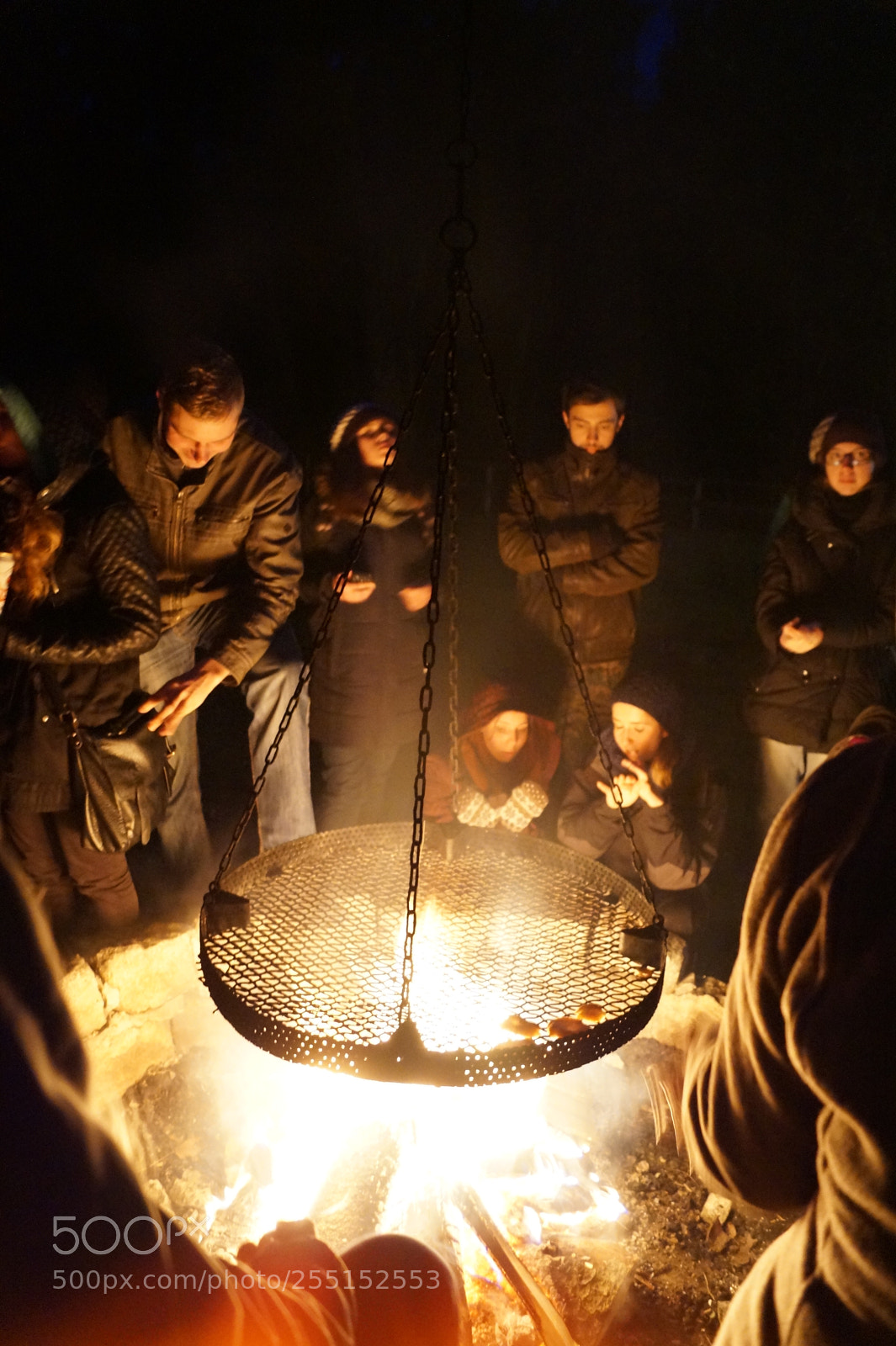 Sony SLT-A58 sample photo. In a circle of photography