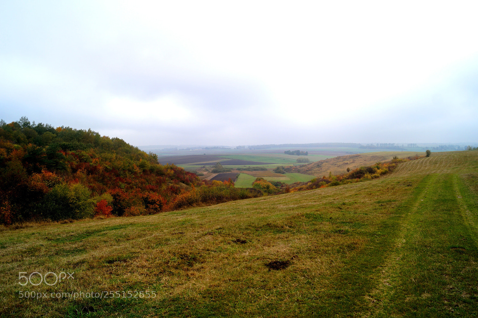 Sony SLT-A58 sample photo. The hill photography