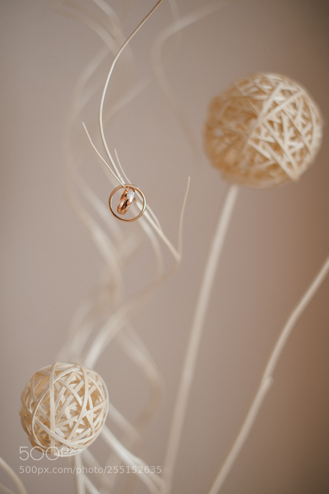 Nikon D700 sample photo. W photography