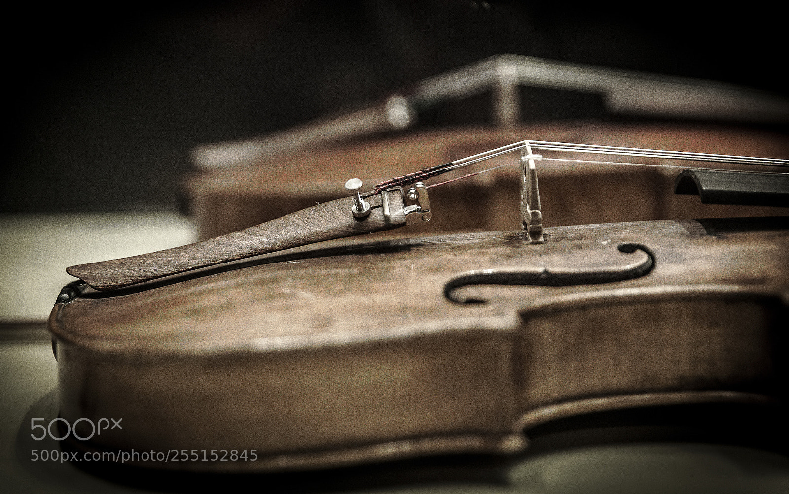 Canon EOS 5D Mark II sample photo. Img photography