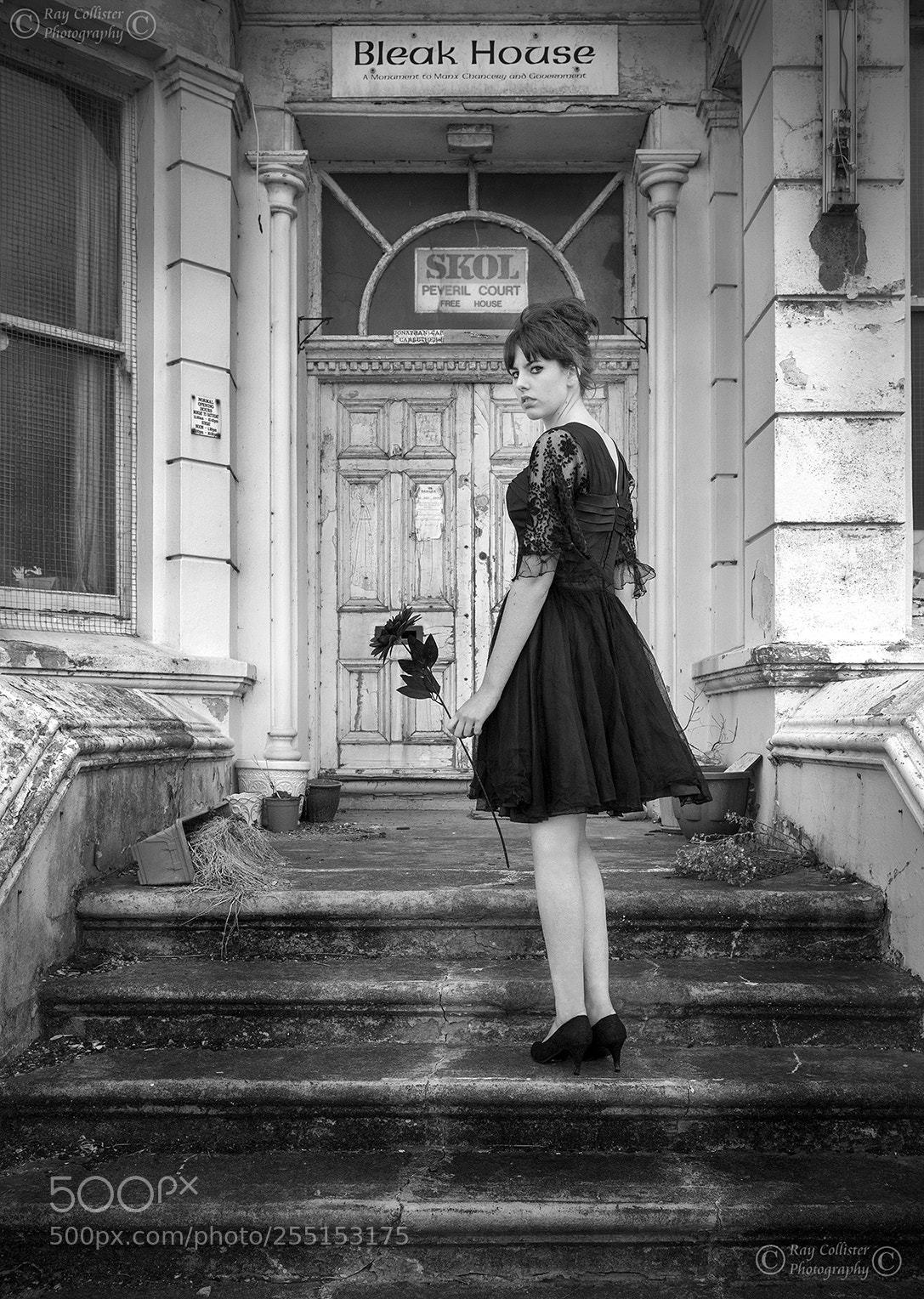 Nikon D600 sample photo. Bleak house photography