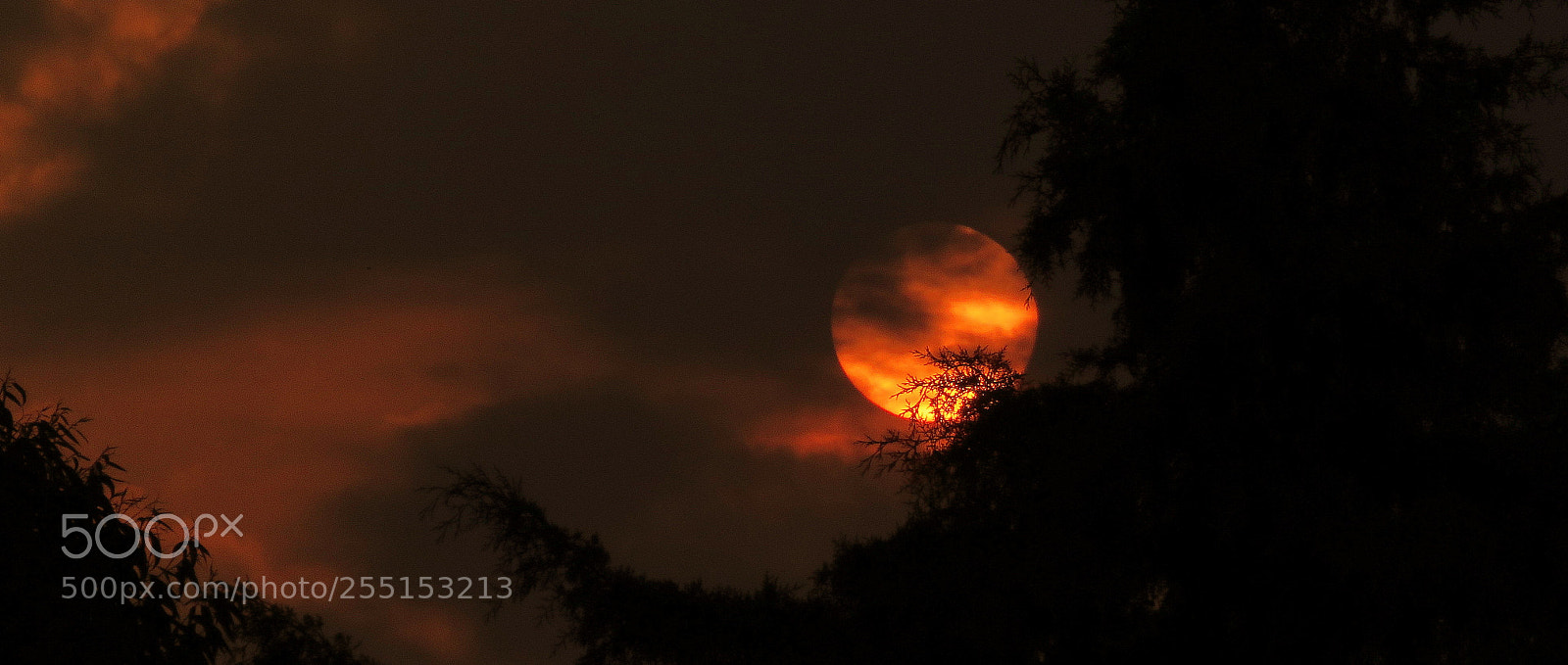 Canon PowerShot SX60 HS sample photo. Day end...last colors photography