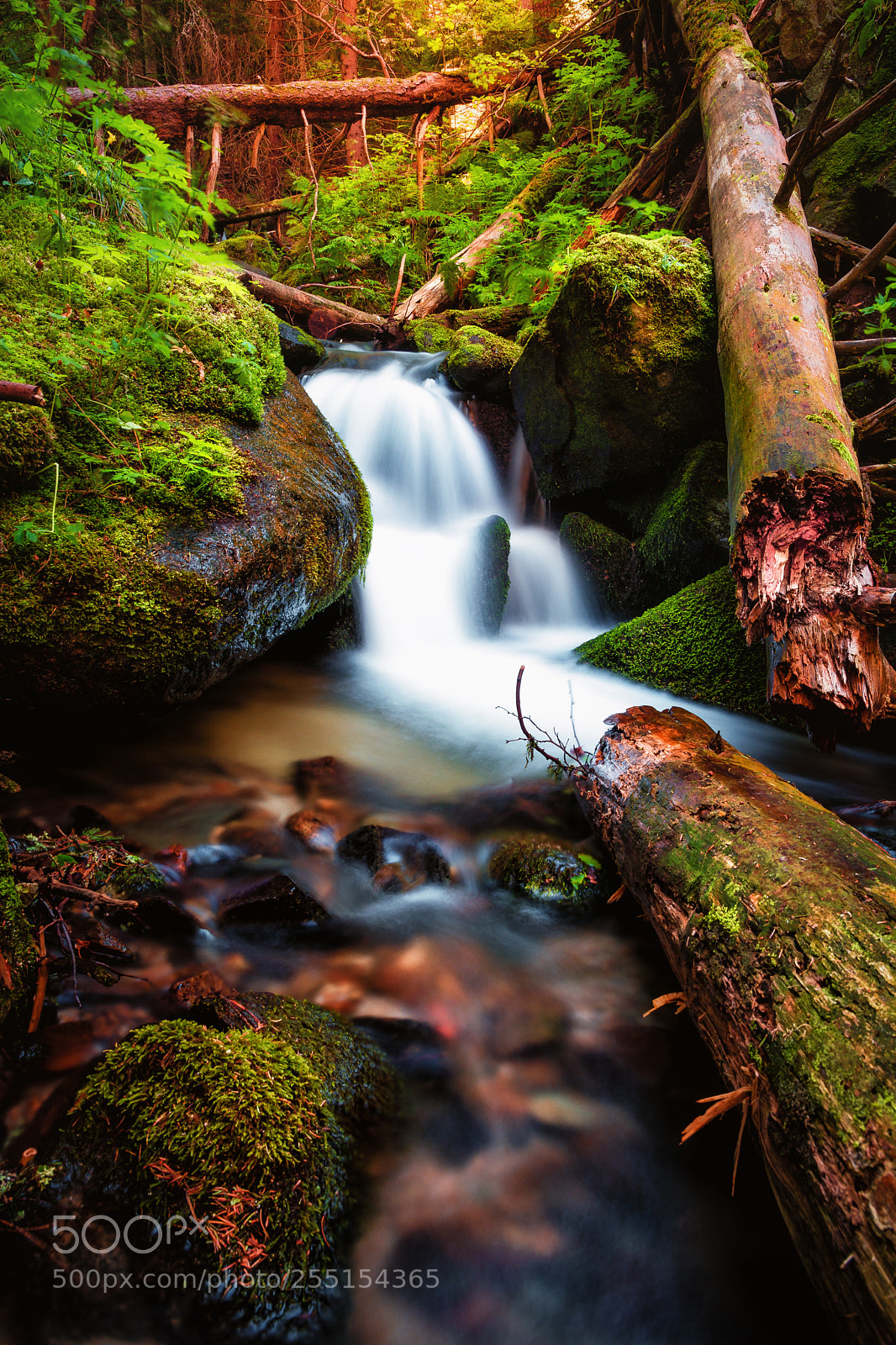 Nikon D7100 sample photo. Vitosha photography