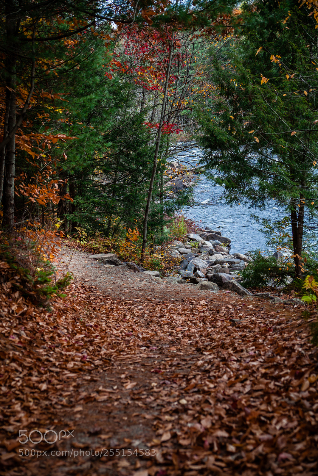 Canon EOS 5D Mark II sample photo. Finally found the river photography