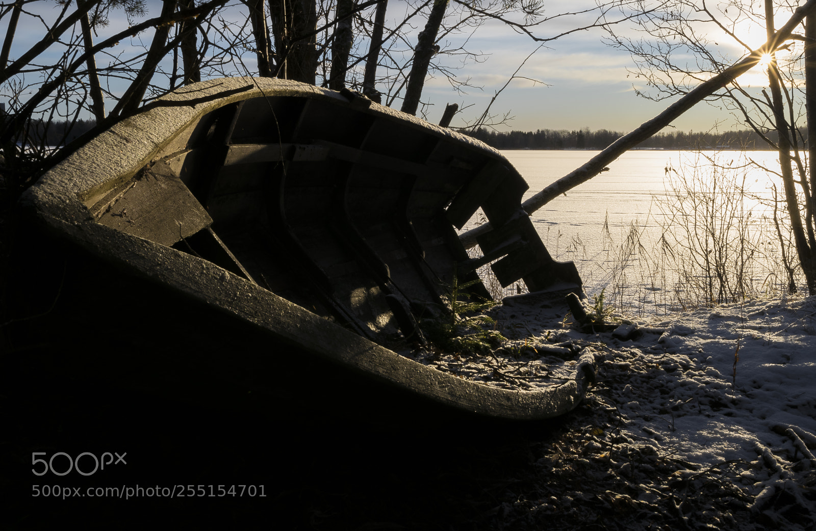 Nikon D5300 sample photo. Abandoned and junk photography