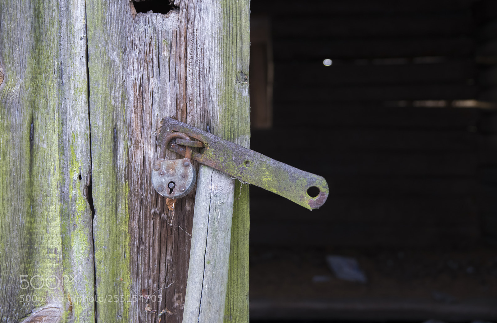 Nikon D5300 sample photo. Abandoned and junk photography