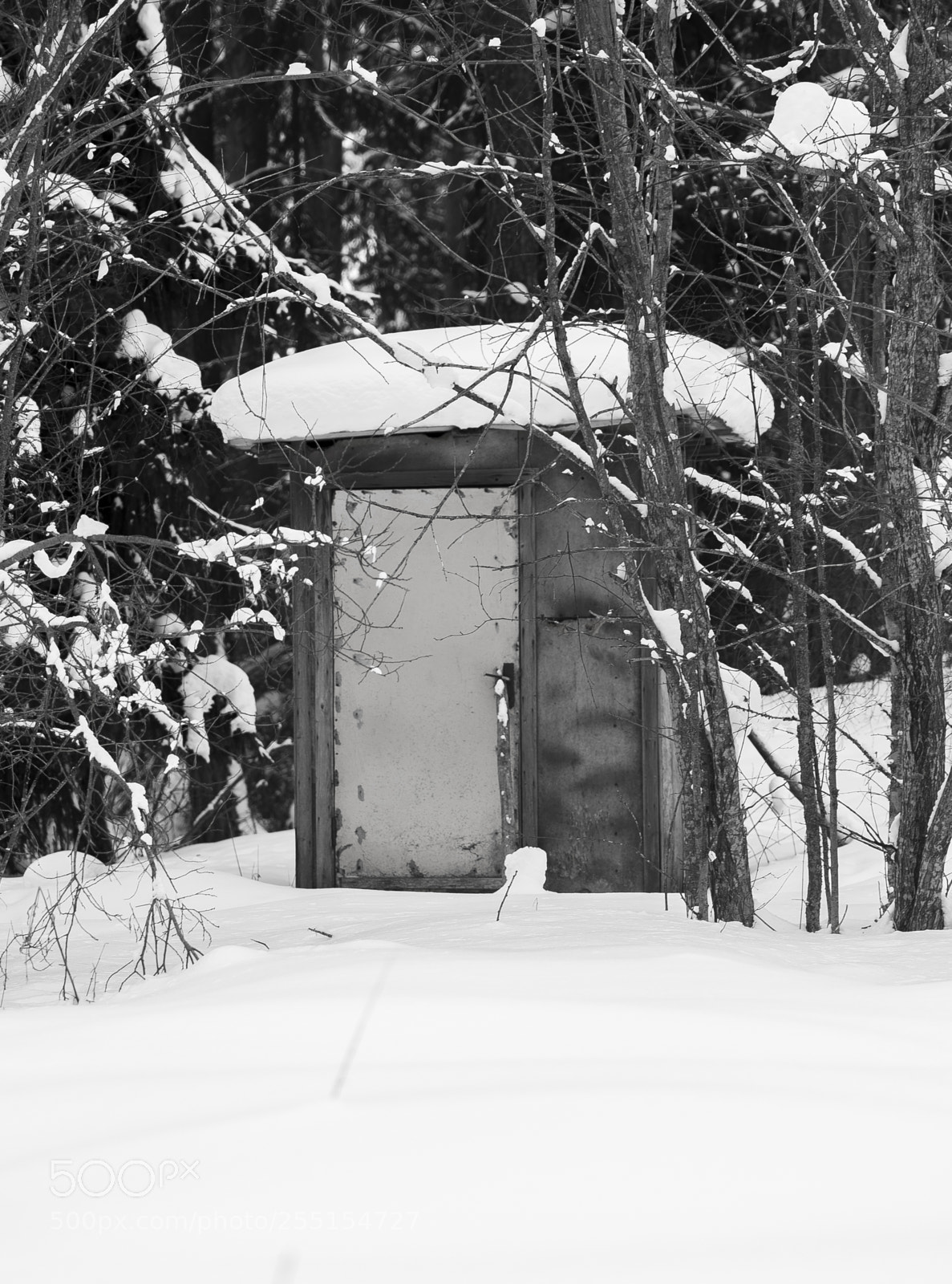 Nikon D5300 sample photo. Abandoned and junk photography