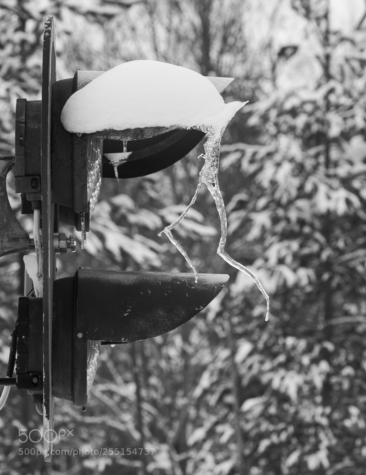 Nikon D5300 sample photo. Abandoned and junk photography