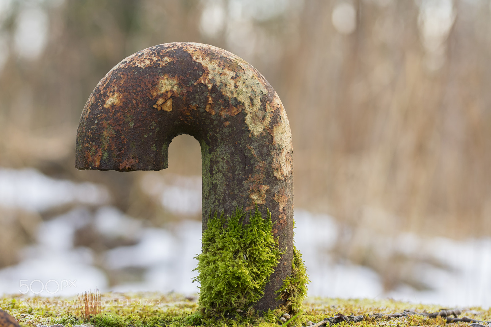 Nikon D5300 sample photo. Abandoned and junk photography