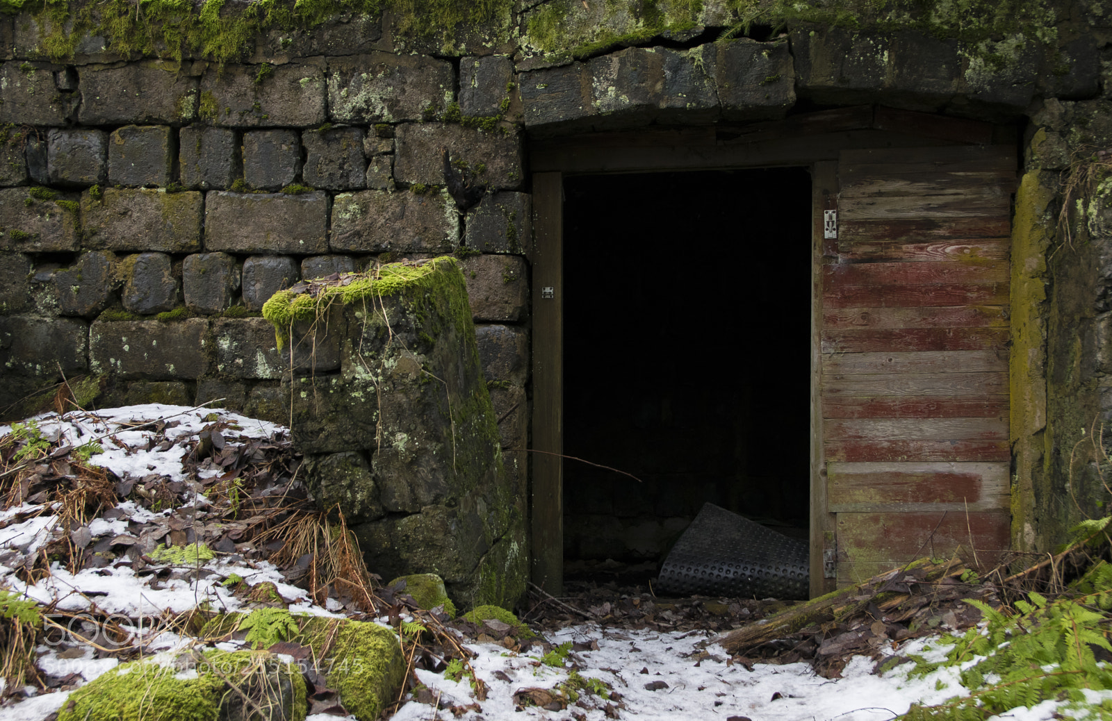 Nikon D5300 sample photo. Abandoned and junk photography
