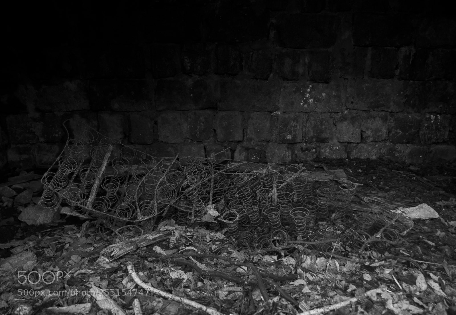 Nikon D5300 sample photo. Abandoned and junk photography