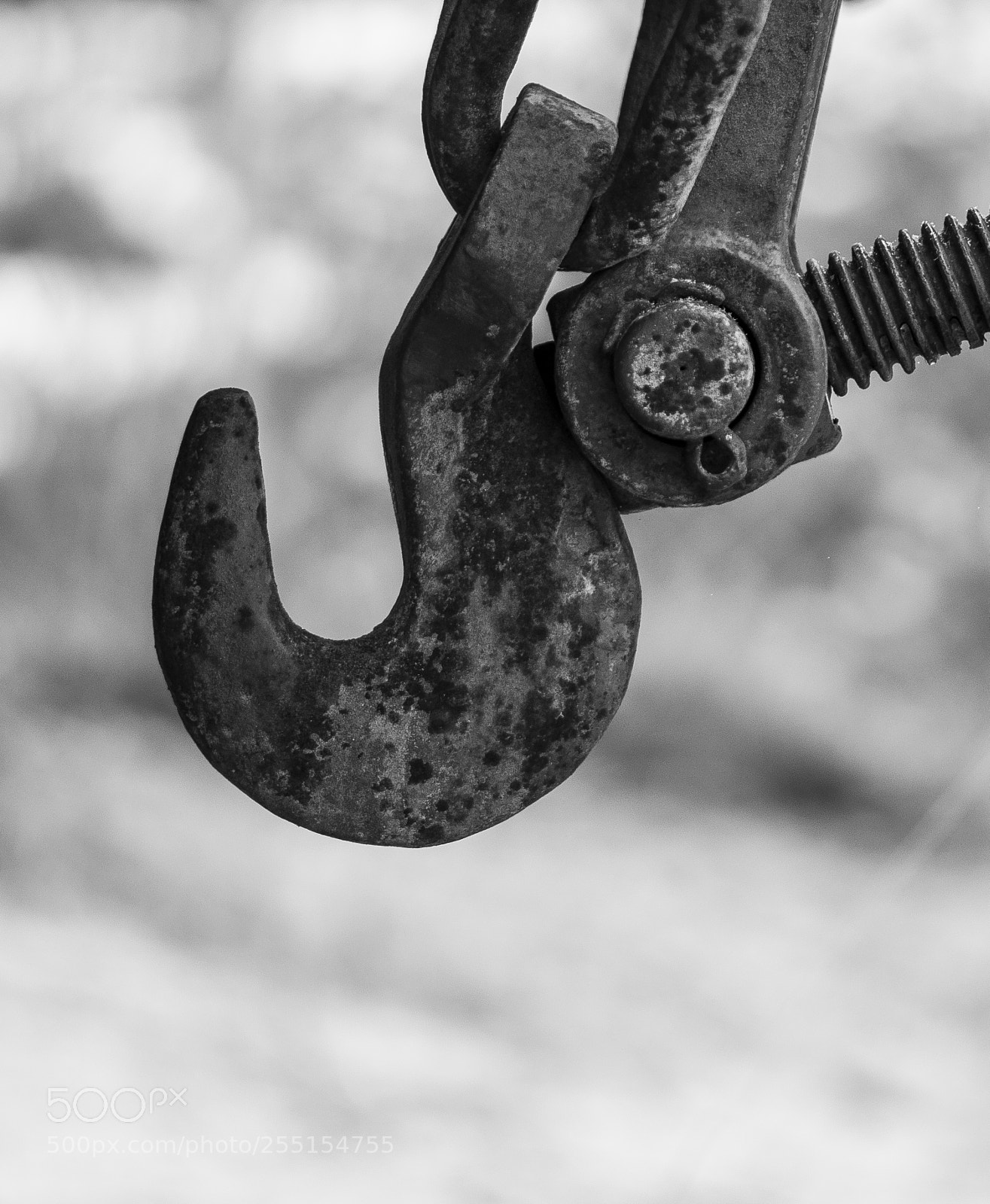 Nikon D5300 sample photo. Abandoned and junk photography