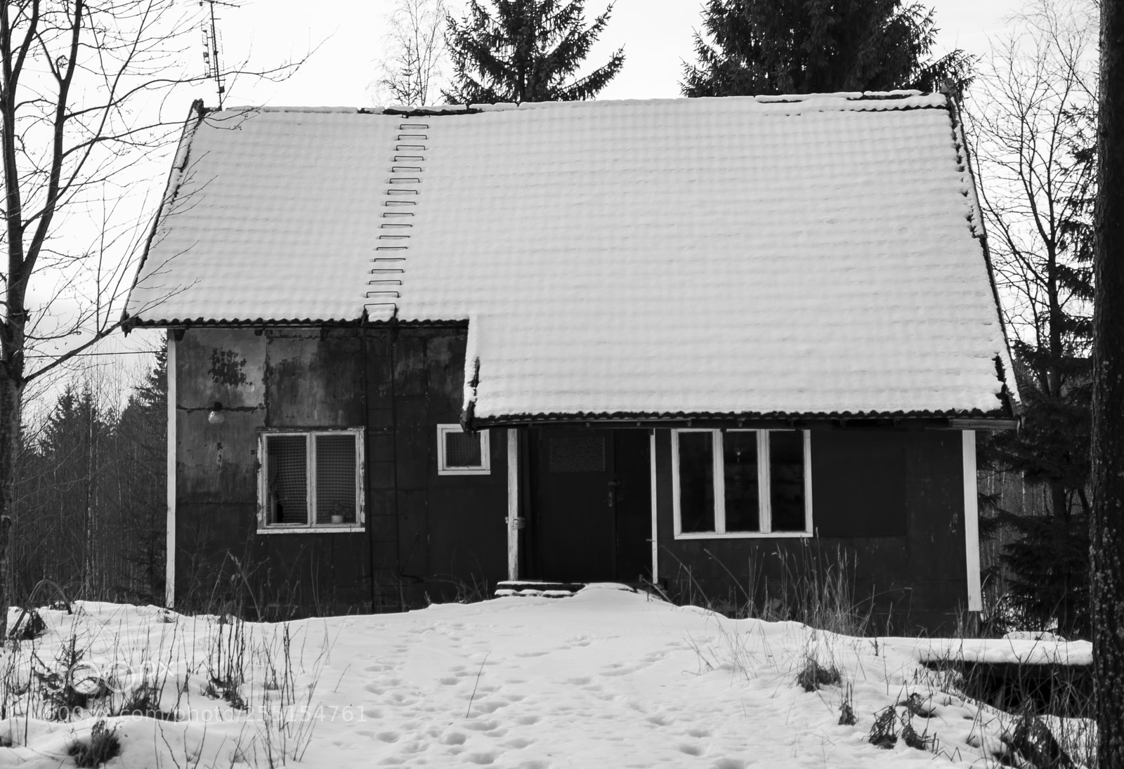 Nikon D5300 sample photo. Abandoned and junk photography