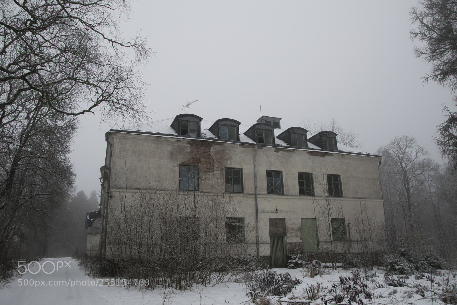 Nikon D5300 sample photo. Abandoned and junk photography