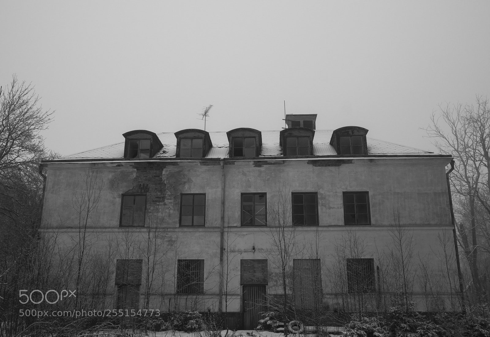 Nikon D5300 sample photo. Abandoned and junk photography