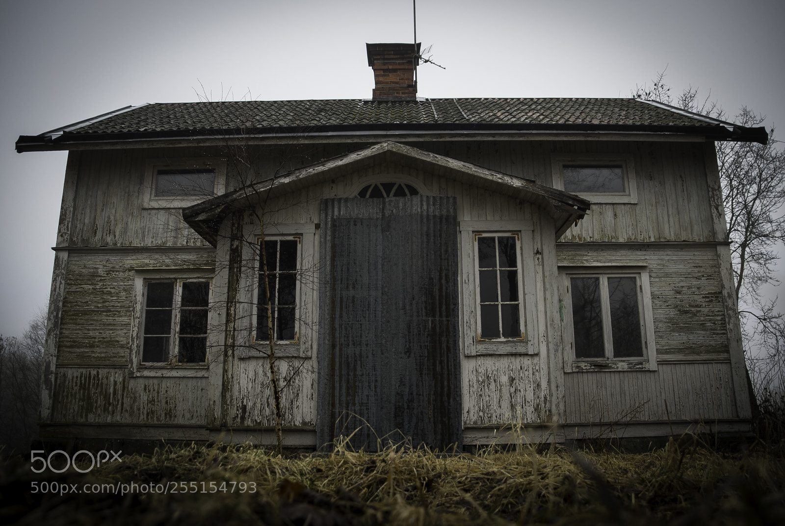 Nikon D5300 sample photo. Abandoned and junk photography
