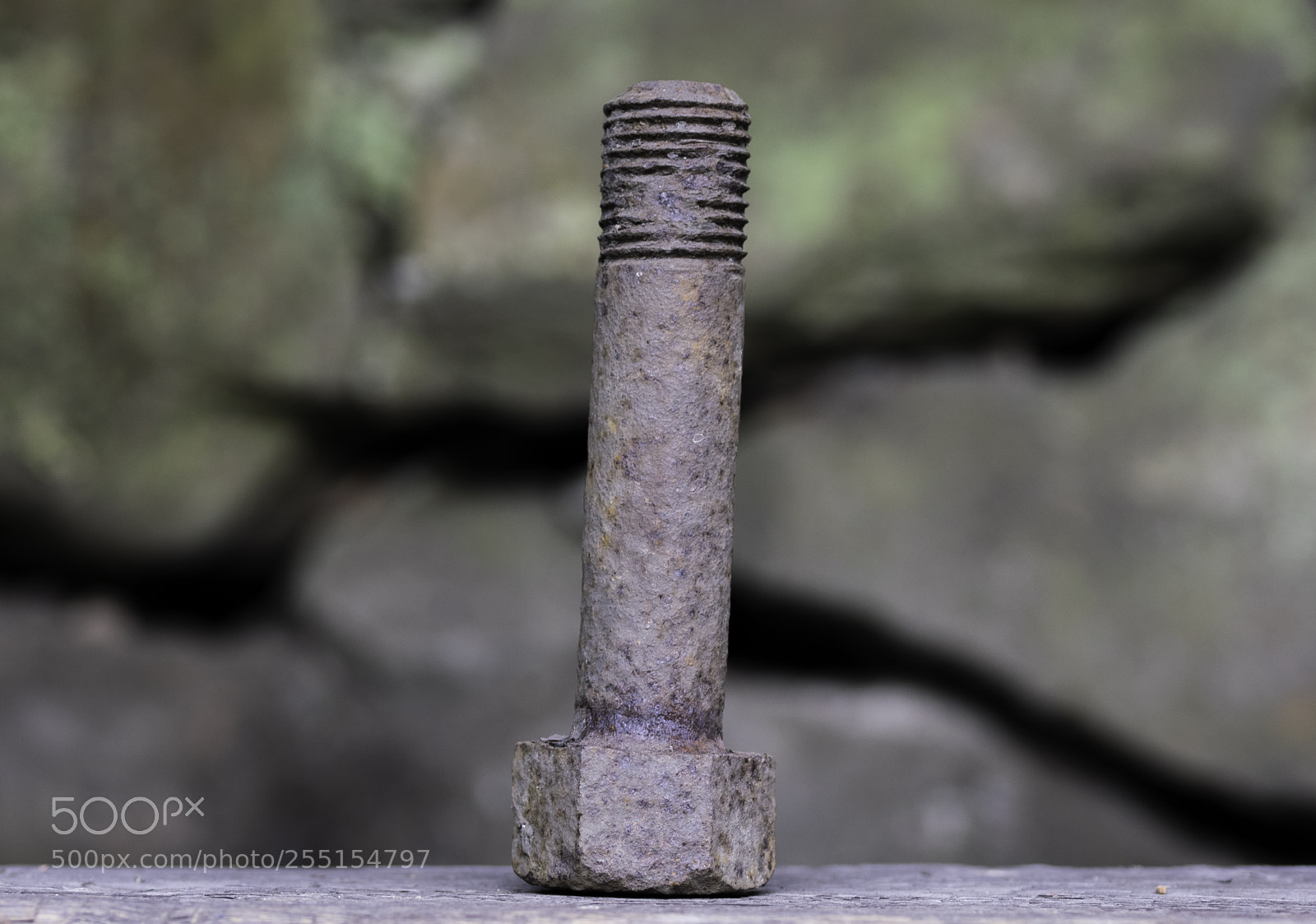 Nikon D5300 sample photo. Abandoned and junk photography