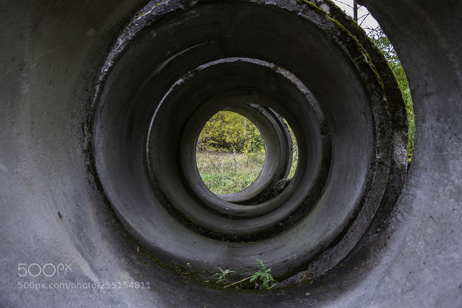 Nikon D5300 sample photo. Abandoned and junk photography
