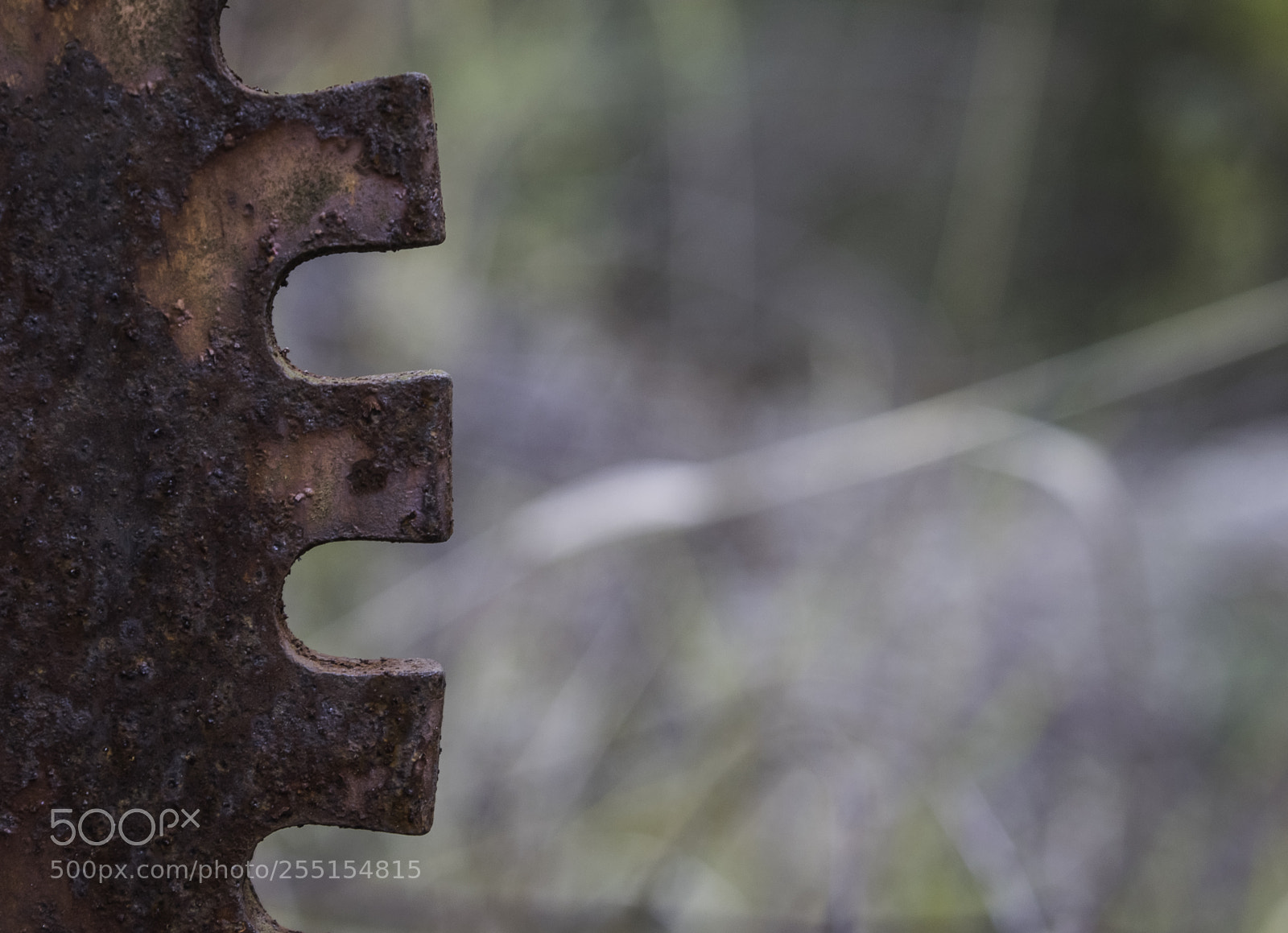 Nikon D5300 sample photo. Abandoned and junk photography