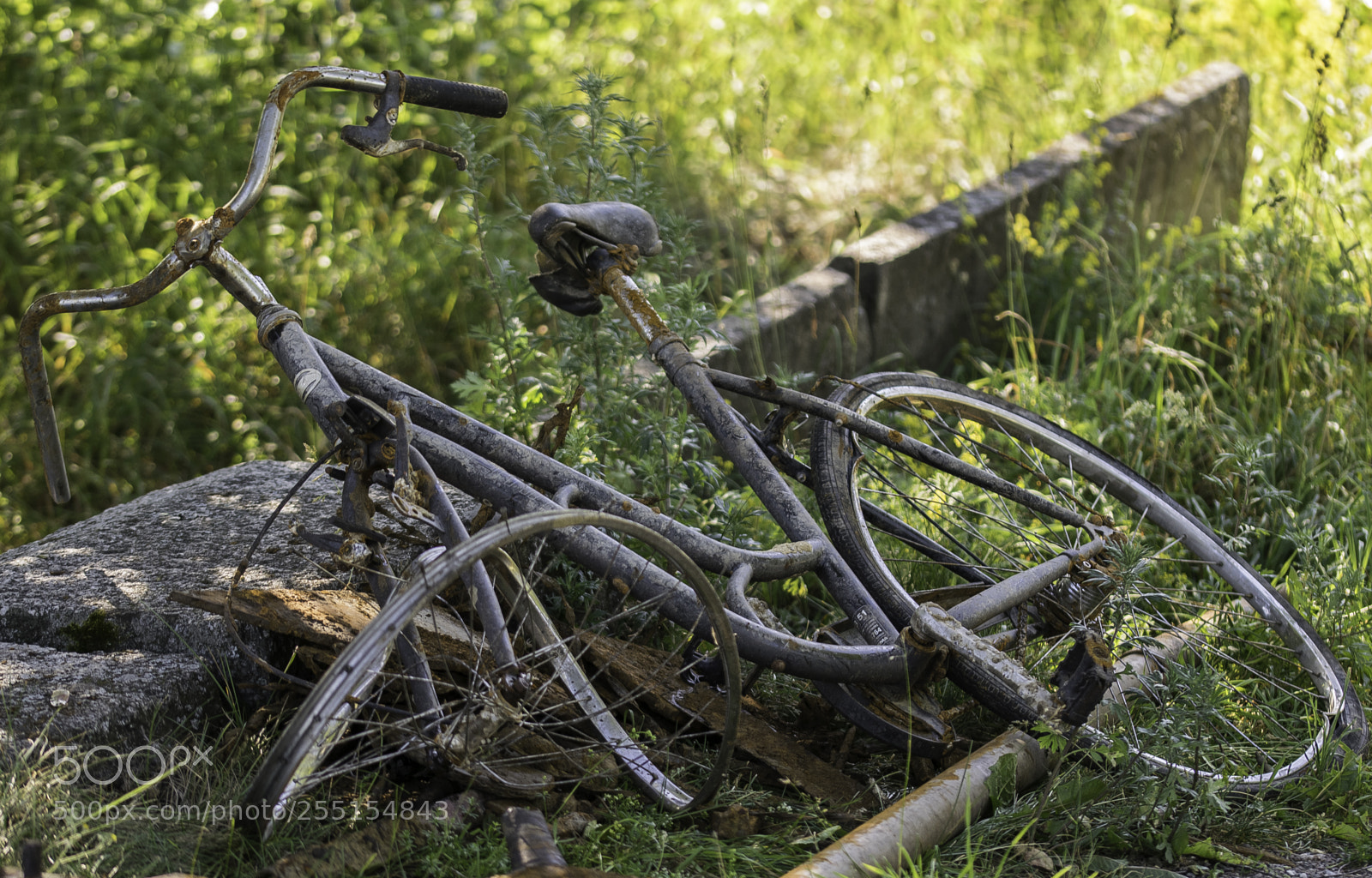 Nikon D5300 sample photo. Abandoned and junk photography