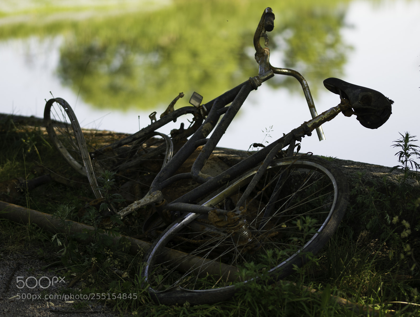 Nikon D5300 sample photo. Abandoned and junk photography