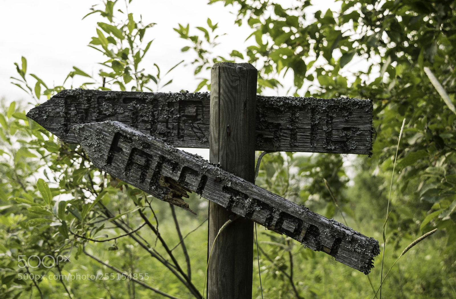 Nikon D5300 sample photo. Abandoned and junk photography
