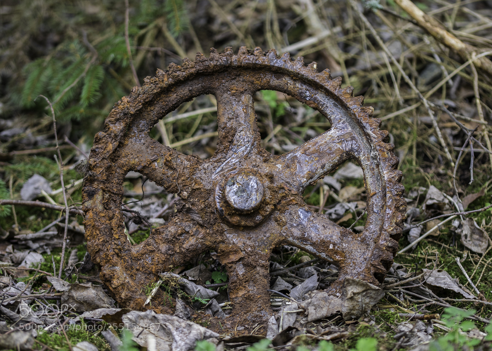 Nikon D5300 sample photo. Abandoned and junk photography
